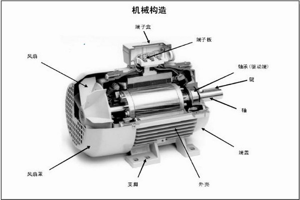 電動(dòng)機(jī)類型詳細(xì)解讀